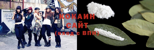 стаф Абинск