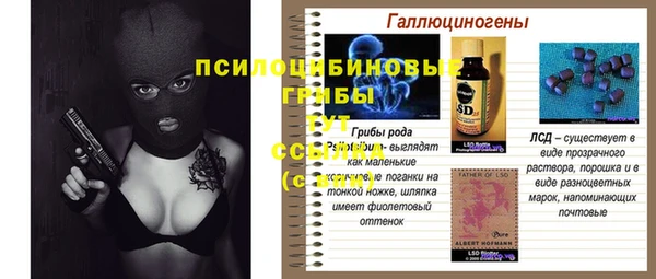 дживик Алексеевка
