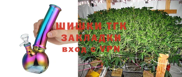 ГАЛЛЮЦИНОГЕННЫЕ ГРИБЫ Алексин