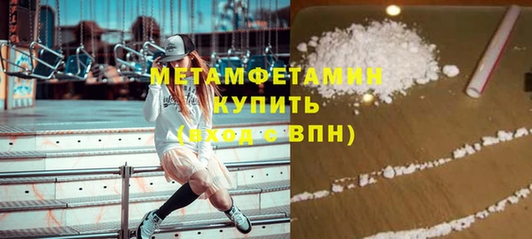 шишки Тавда